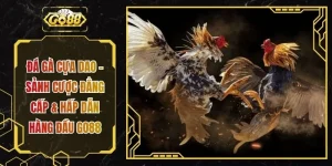 Đá Gà Cựa Dao - Sảnh Cược Đẳng Cấp & Hấp Dẫn Hàng Đầu GO88
