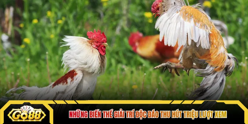 Những biến thể giải trí độc đáo thu hút triệu lượt xem