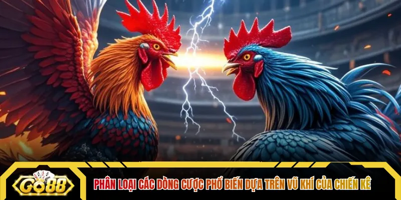 Phân loại các dòng cược phổ biến dựa trên vũ khí của chiến kê